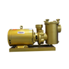 Professional Swimming Pool Circulation Pumps | High Efficiency & UltraQuiet Operation