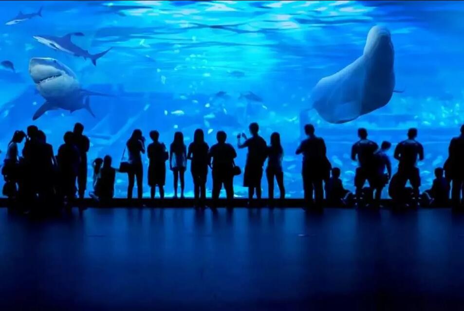 Electrical Water Sand Filter Pumps Grandview Aquarium in Guangzhou