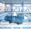 Heavy Duty Swimming Pool Water Pumps For Sand Filters Circulation System