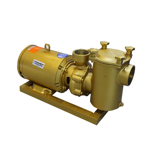 Professional Swimming Pool Circulation Pumps | High Efficiency & UltraQuiet Operation