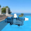 Heavy Duty Swimming Pool Water Pumps For Sand Filters Circulation System