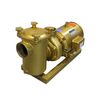 Professional Swimming Pool Circulation Pumps | High Efficiency & UltraQuiet Operation