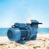Heavy Duty Swimming Pool Water Pumps For Sand Filters Circulation System
