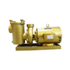 Professional Swimming Pool Circulation Pumps | High Efficiency & UltraQuiet Operation