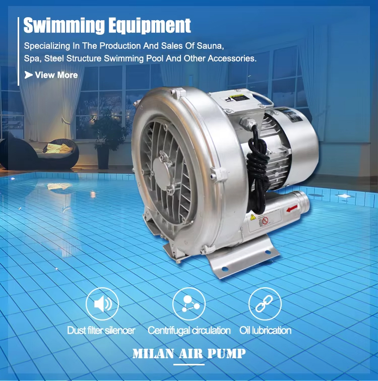 swimming pool blower